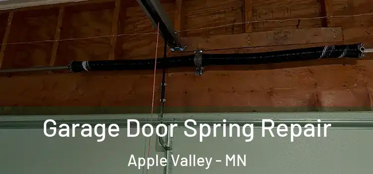  Garage Door Spring Repair Apple Valley - MN