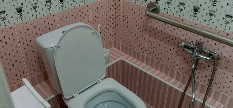 Meeting Diverse Needs With Accessible Restroom Solutions in Apple Valley, MN